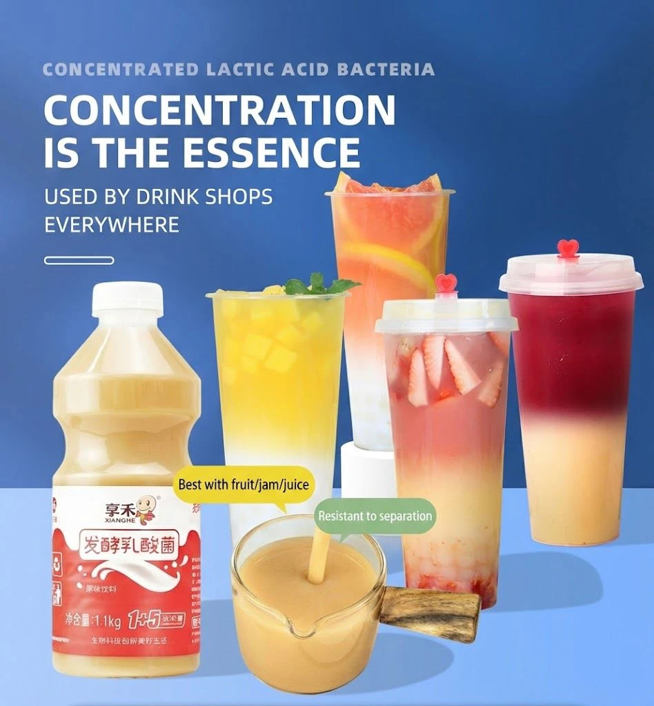 Concentrated Fermented Lactic Acid Bacteria Beverage