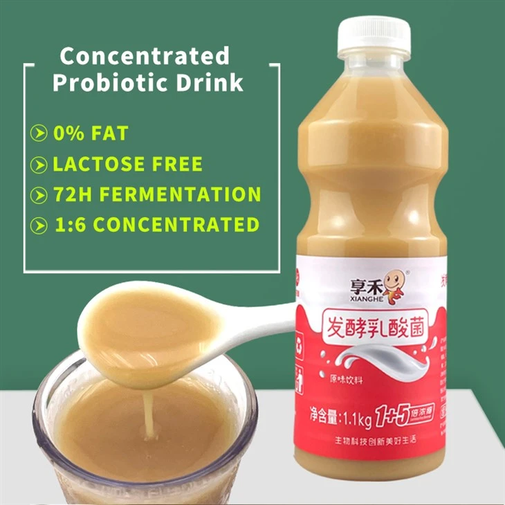 Concentrated Fermented Lactic Acid Bacteria Beverage suppliers